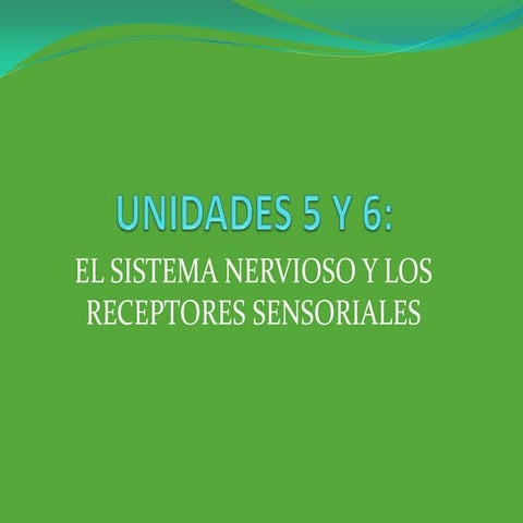 Presentación unidades 5 y 6 sistema nervioso y receptores sensoriales
