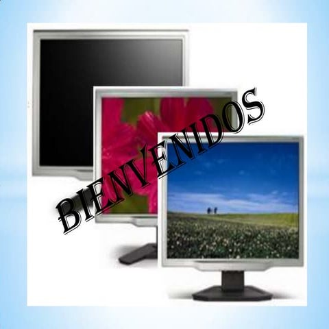 Presentacion de monitores blogger