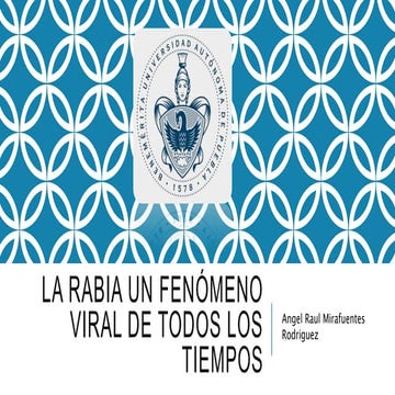 la rabia un fenómeno viral de todos los tiempos