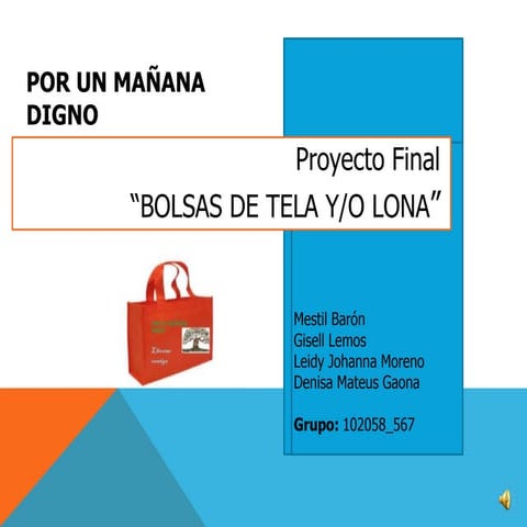 Proyecto Bolsas de Lona y o Tela 