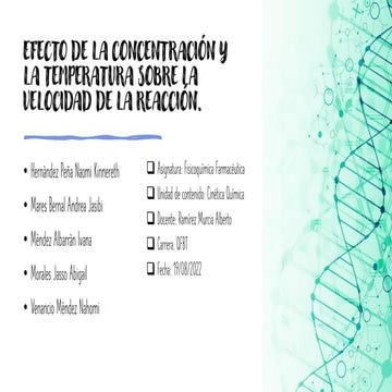 Presentacion previo 2 FF (1).pdf