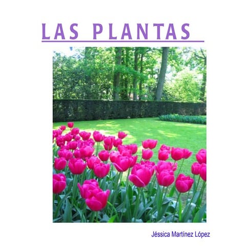 Presentacion tema 4 nuevo