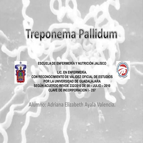 Presentacion treponema pallidum1