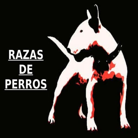 Razas de perros.