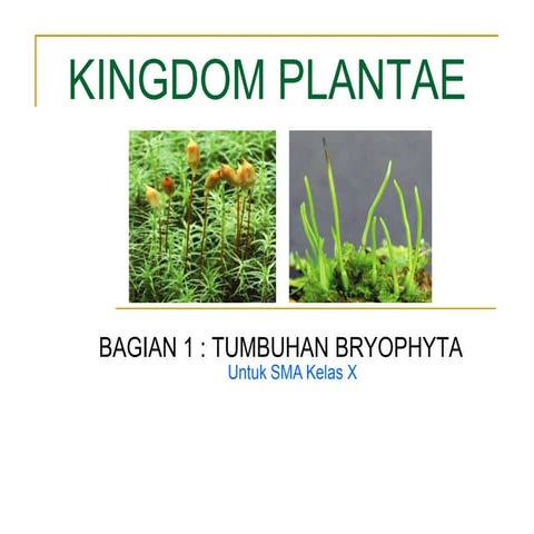 Presentasi lumut-fix