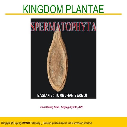 PPT Biologi SMA Kelas X Spermatophyta-fix