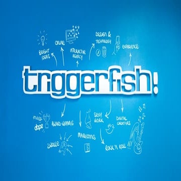 Presentatie Triggerfish