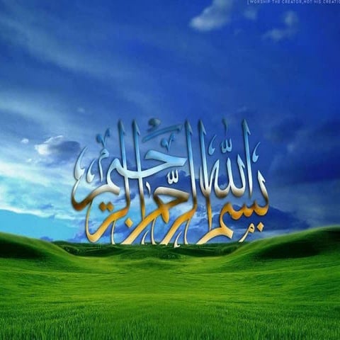 Solid Waste and its Management ppt