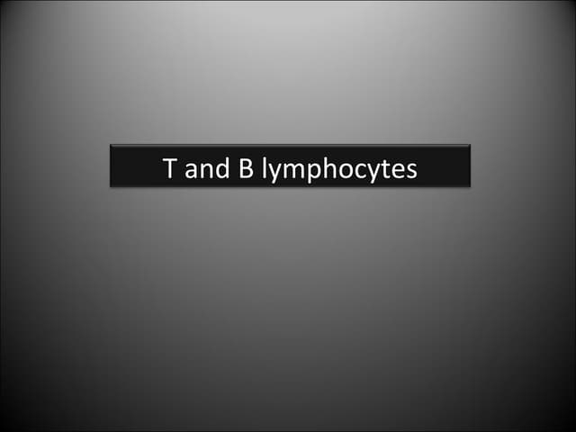 Lymphocytes