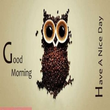 deforestation sarath