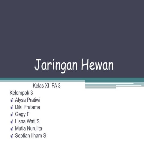 Jaringan Hewan