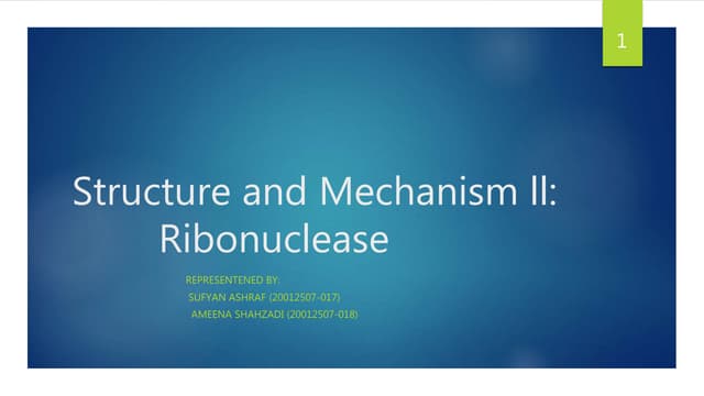 Presentation (4).pptx