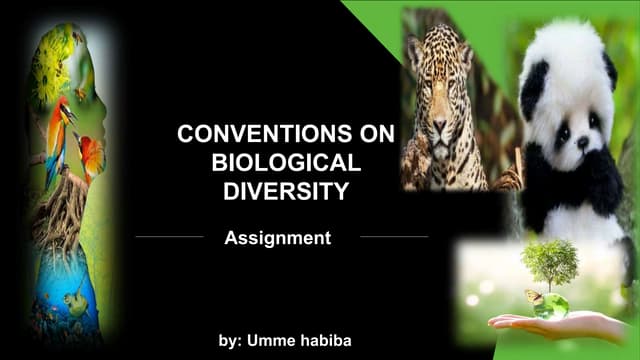 CONVENTIONS ON BIOLOGICAL  DIVERSITY