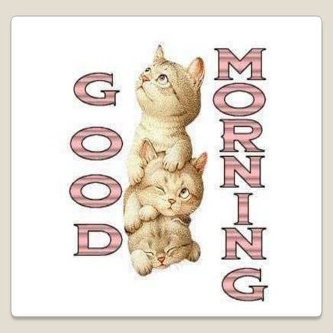 COMPONENTS OF SYSTEM UNIT