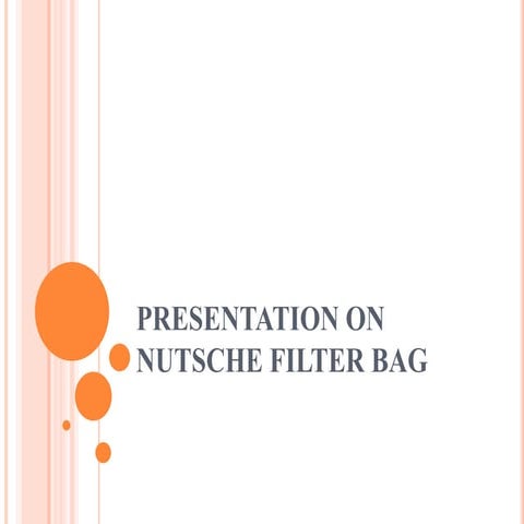 Presentation on nutsche filter bag