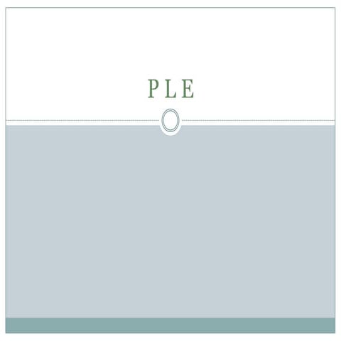 Presentation social network