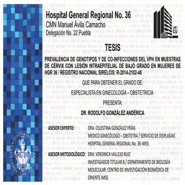 Prevalencia y genotipos de vph hgr 36