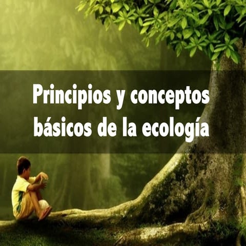 Principios y conceptos básicos de la ecología
