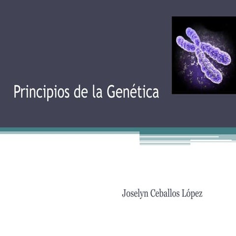 Principios de la genética   copia
