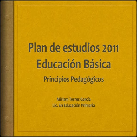 Principios pedagogicos 
