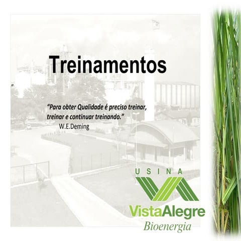 Procedimento Treinamento 