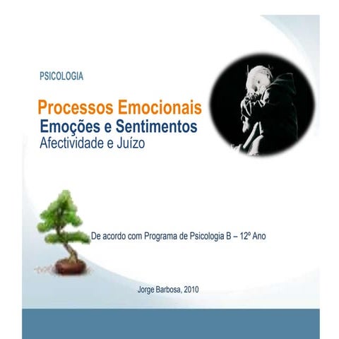 Processos Emocionais