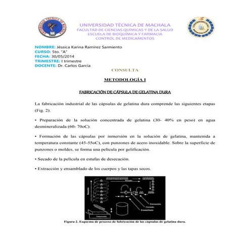 Proceso de elaboracion de las capsulas duras