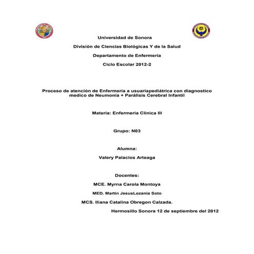 Proceso de enfermeria pediatrica