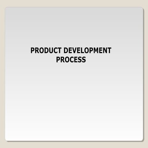 Product development process