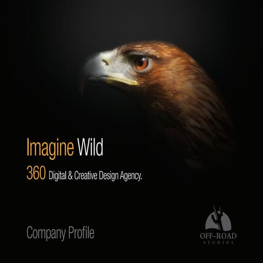 Off-Road Studios | Company Profile