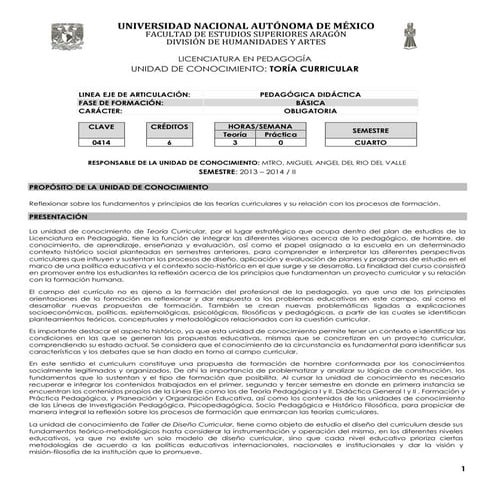 Programa unidad de conocimiento teoria curricular
