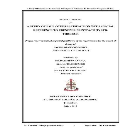 Project Report On Employee Satisfaction