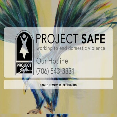 Project Safe AdWords Plan