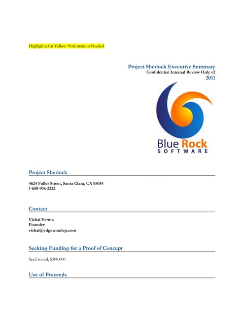 Project for executive summary v2