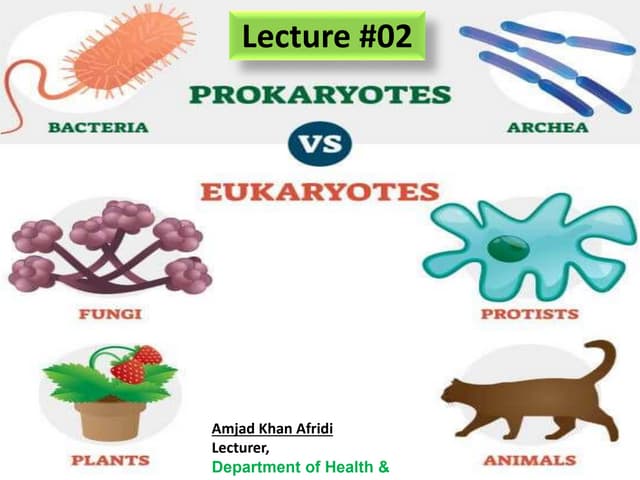 Prokaryotic and Eukaryotic cells 