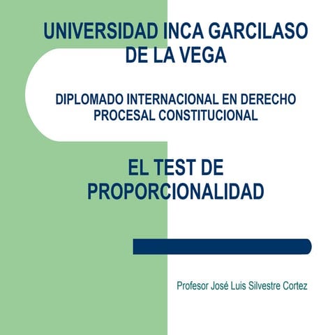 El Test de Proporcionalidad 