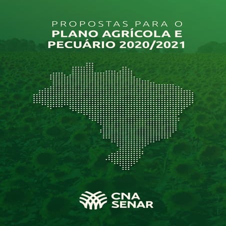 Proposta pap2020 2021