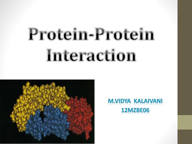Protein protein interaction