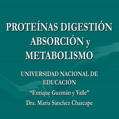 Proteinas. Digestión, absorción y metabolismo