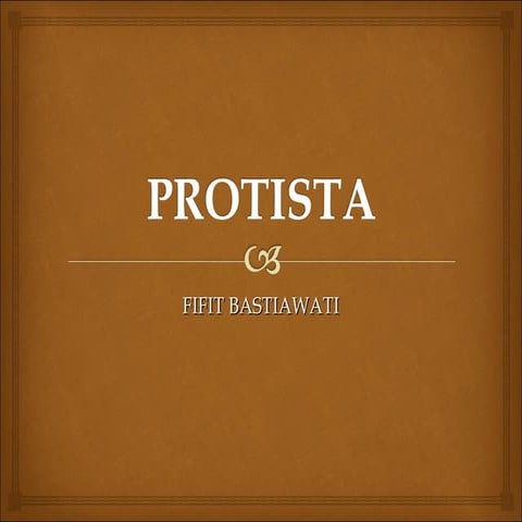 Protista materi kelas X