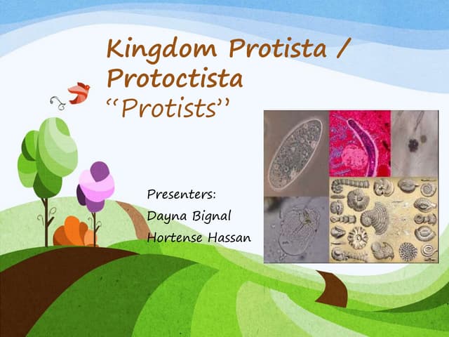 Protists