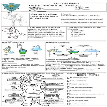 Prova diagnóstica 7º ano ciencias
