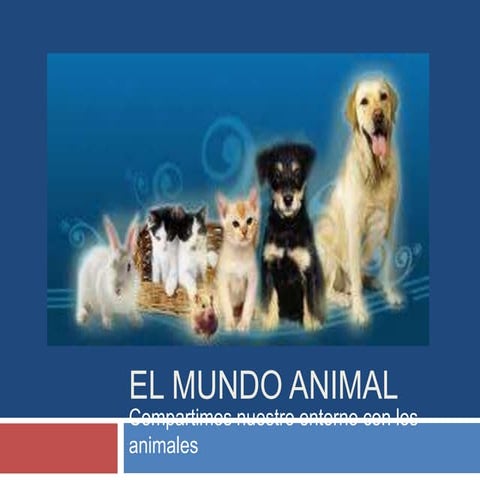 Proyecto de aula se tita huertas cpe26859