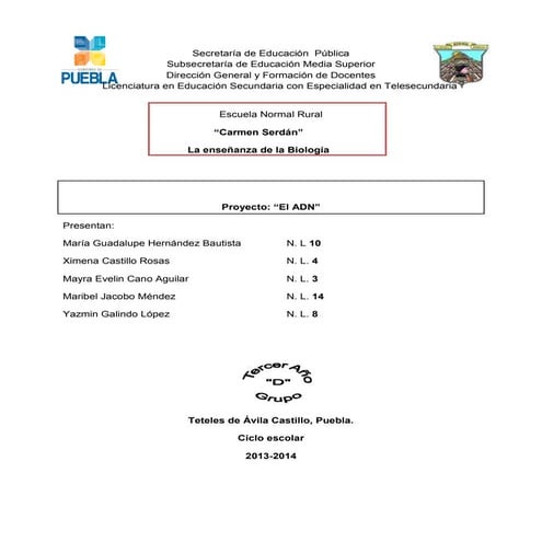 Proyecto del adn (2)