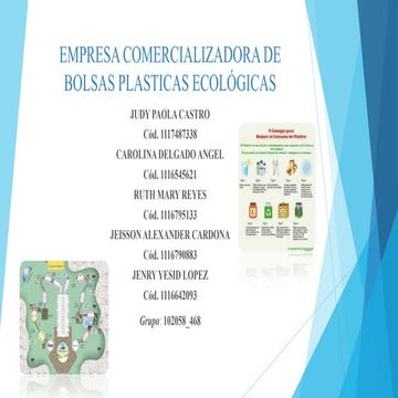 Proyecto final 102058_468_