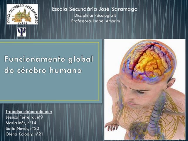Funcionamento global do cérebro humano