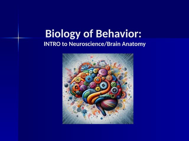 Psychology Class- Intro to Brain Anatomy.pptx