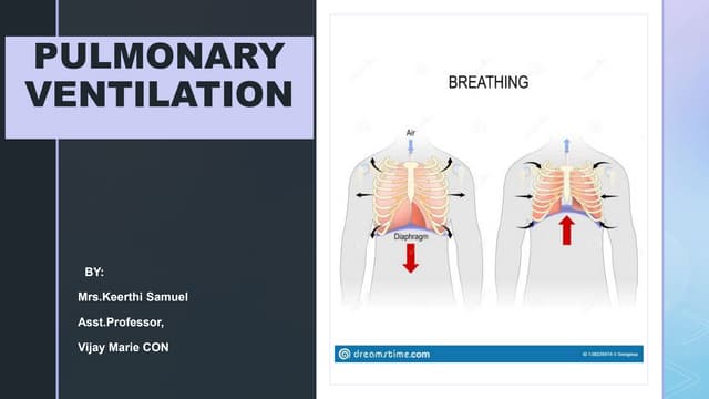 Pulmonary ventilation