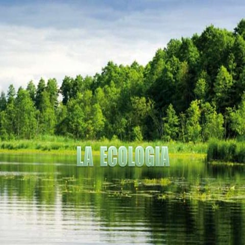 ecologia valeria gariup