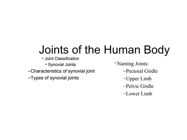 Joints of the human body